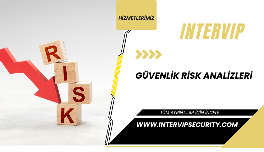 Güvenlik Risk Analizleri 